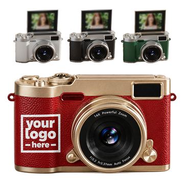 Digital Camera With Hinged Display